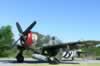 Hasegawa's 1/32 scale P-47D Thunderbolt "Hairless Joe" by Ian Robertson: Image