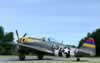 Tamiya 1/48 scale P-47D Thunderbolt "Little Ann" by Ian Robertson: Image
