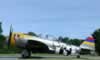 Tamiya 1/48 scale P-47D Thunderbolt "Little Ann" by Ian Robertson: Image