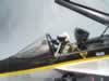 Hasegawa 1/48 scale F/A-18E by Jose Carlos Simon: Image