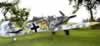 Hasegawa 1/32 scale Messerschmitt Bf 109 G-2 by Thomas Blumenthal: Image