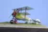 Eduard 1/48 scale Fokker DR.I x 2 by Michael Scott: Image