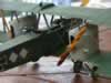 Copper State Models 1/48 scale Gotha G.III by Jean-Pascal Maire: Image