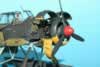 Revell 1/32 scale Arado Ar 196 A-3 by Andreas Hohne: Image