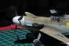 Hasegawa 1/48 scale Messerschmitt Bf 109 F-4/Trop by Timothy Holwick: Image