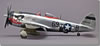 Tamiya 1/48 P-47D Thunderbolt Bubbletop by Damian Andrus: Image