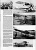 Aviatik (Berg) D.1 At War! Review by David Wilson: Image