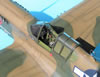 Hasegawa 1/32 P-40K Warhawk by Tolga Ulgur: Image
