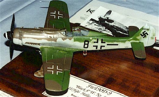 fw190djk_1.jpg (32078 bytes)