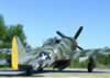 Hasegawa's 1/32 scale P-47D Thunderbolt "Hairless Joe" by Ian Robertson: Image