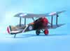 Eduard 1/48 scale Sopwith Pup by Garfield Ingram: Image