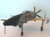Hasegawa 1/48 scale J7W1 Shinden by Roland Sachsenhofer: Image