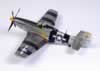 Tamiya 1/48 scale P-51D Mustang by Ian Passlow: Image