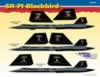 Cutting Edge SR-71 Blackbird Decals: Image