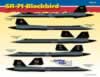 Cutting Edge SR-71 Blackbird Decals: Image