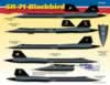 Cutting Edge SR-71 Blackbird Decals: Image