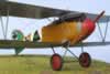 Roden 1/32 scale Albatros D.III by Bruce Salmon: Image