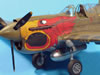 Hasegawa 1/48 scale P-40N Warhawk by Luis Antonio Reyes Lavin: Image