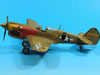 Hasegawa 1/48 scale P-40N Warhawk by Luis Antonio Reyes Lavin: Image