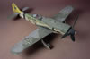 Tamiya 1/48 scale Fw 190 D-9 by Andrew Dextras: Image