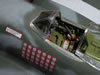 Hasegawa 1/32 scale P-47D Thunderbolt "Bubbletop" by Osvaldo Viggiani: Image