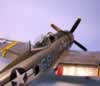 Tamiya 1/48 scale P-47D Thunderbolt: Image