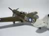 Hasegawa 1/32 P-40N by Michael Woodgate: Image