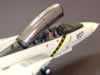 Hasegawa 1/72 scale F-14A by Jose Dardon: Image