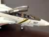 Hasegawa 1/72 scale F-14A by Jose Dardon: Image