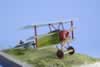 Eduard 1/48 scale Fokker DR.I x 2 by Michael Scott: Image