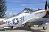 Tamiya 1/48 scale P-51D Mustang by Stephane Sagolsi: Image