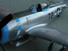 Hasegawa 1/32 scale P-47D Thunderbolt: Image