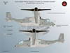 Flying Leathernecks Decals 1/48 scale V-22 Decal Review by Roder Kelly: Image