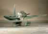 Revell 1/32 scale Arado Ar 196 A-3 by Diedrich Wiegmann: Image