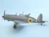 Special Hobby 1/48 Blackburn Roc by Pedro Perez: Image