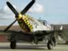 Dragon P-51D Mustang by Paul Coudeyrette: Image