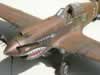 Trumpeter 1/32 scale P-40B by Paul Coudeyrette: Image