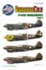 Barracudacals 1/72 and 1/48 scale P-40 Decal Preview: Image