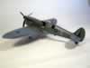 Special Hobby 1/48 scale Spitfire PR.ID Conversion by Fernando Rolandelli: Image