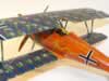 Roden 1/32 scale Siemens-Schuckert D.III by Jerry Craeger: Image