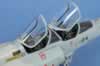 Kinetic 1/48 scale Mirage 2000B by Mick Evans: Image