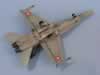 Academy and Hasegawa 1/72 scale Swiss Hornets by Thomas Muggli: Image