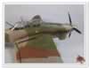 Special Hobby 1/48 scale Junkers Ju 87 A Stuka: Image