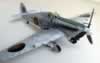 Hasegawa 1/48 scale Sea Hurricane Mk.IIc by Rafi Ben-Shahar: Image