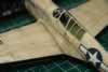 Hasegawa 1/48 scale P-40N Warhawk by Timothy Holwick: Image