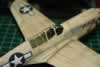 Hasegawa 1/48 scale P-40N Warhawk by Timothy Holwick: Image