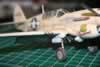 Hasegawa 1/48 scale P-40N Warhawk by Timothy Holwick: Image