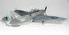 Hasegawa 1/72 scale Tarpon by Mark Davies: Image