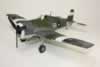 Three Hasegawa 1/32 scale FAA Hellcats by Robert Taylor: Image