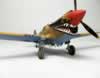 Academy 1/72 scale P-40E by Dario Giuliano: Image